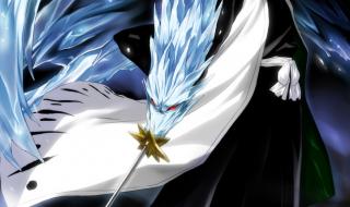 冬狮郎喜欢谁 日番谷冬狮郎虚化