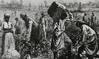 世界民族面积人口排行榜 厄立特里亚人口面积