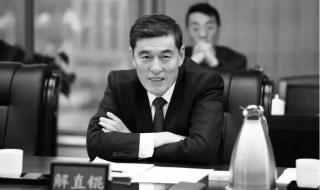 中植系归哪些部门管 中植系有哪些公司