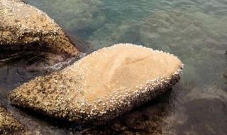 珠海外伶仃岛好玩吗