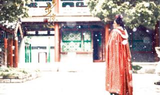 若曦为什么是宫女 奉茶宫女马尔泰若曦