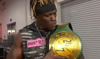 wwe已退役选手所有名单 wwe名人堂成员名单